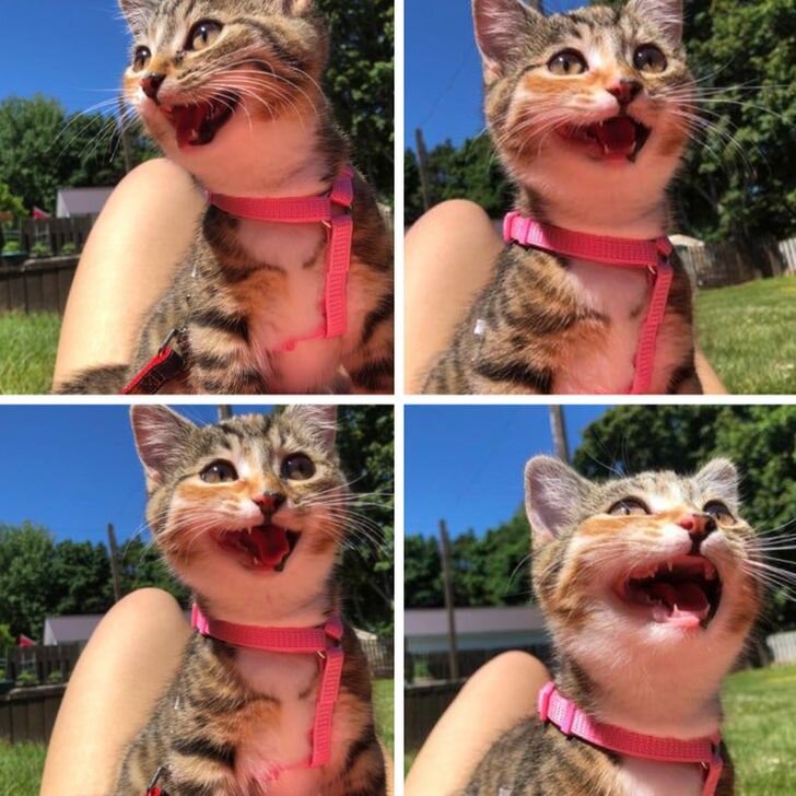 © 
neptunesmoon / Reddit