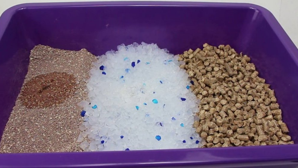 Источник: yandex