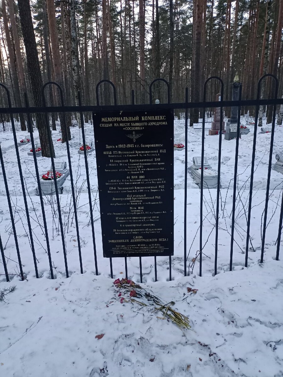 Кладбище находится за закрытой калиткой. Дабы не нарушать закон и покой мёртвых, мы решили фотографировать издалека. 