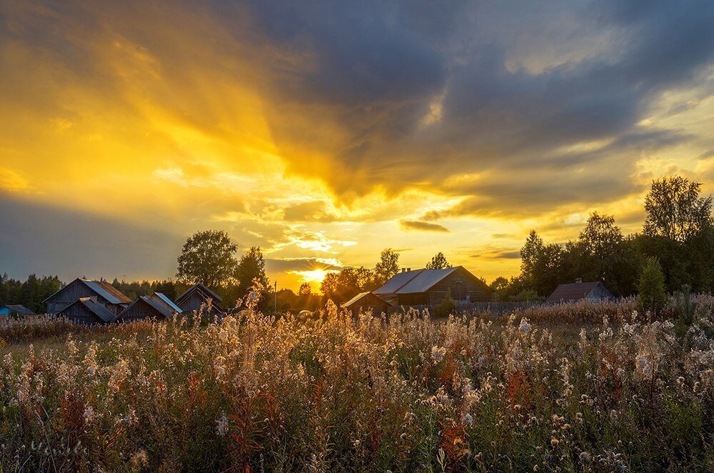 фото из открытого доступного источника сети интернет