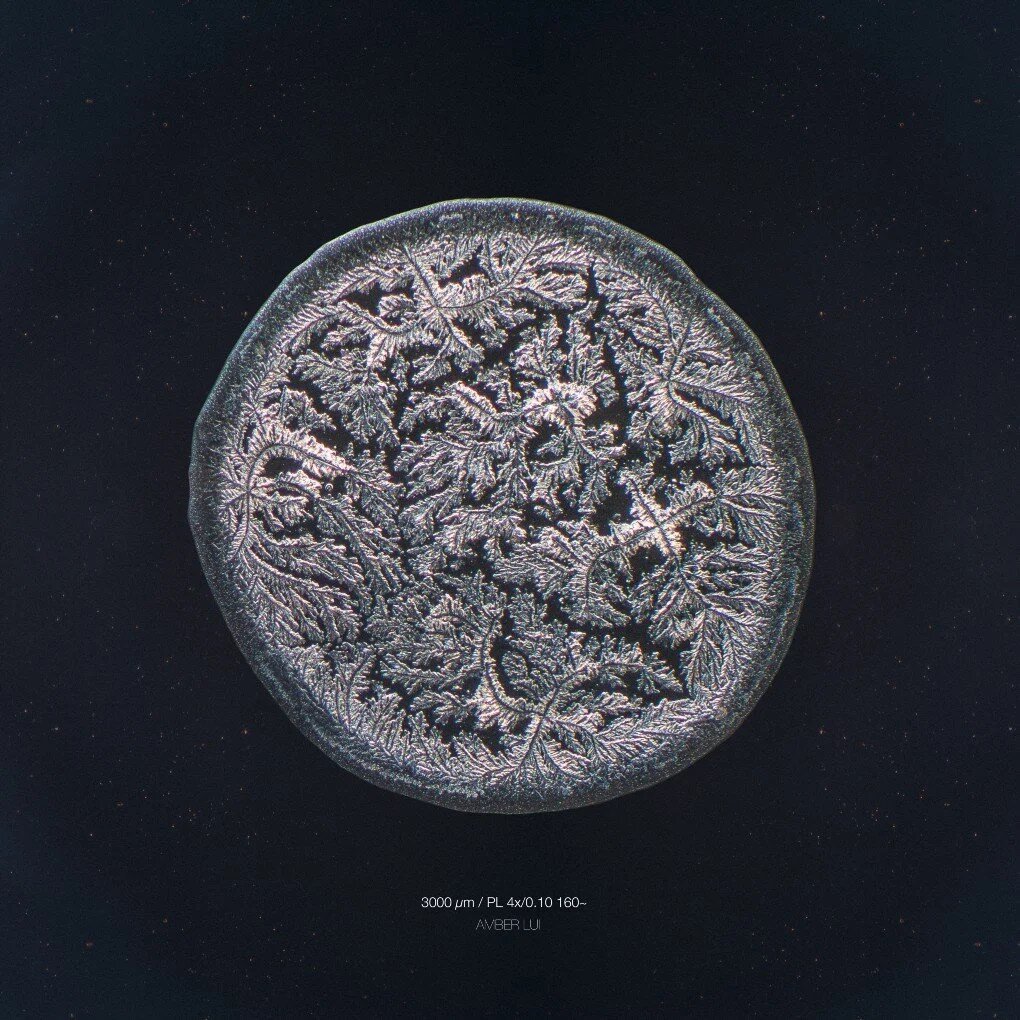 Так слезы выглядят под микроскопом. Фото: sciencealert.com
