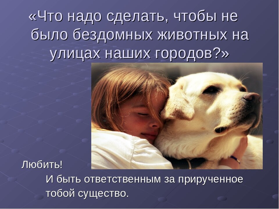 Собака друг человека картинки с надписями