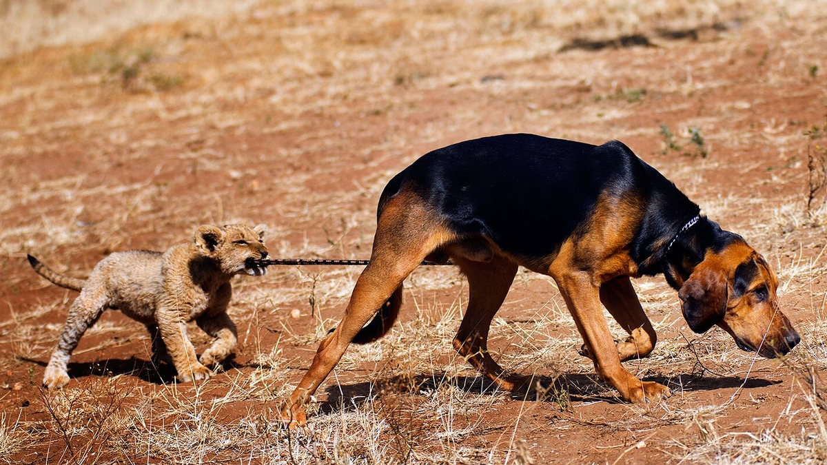 Фото: СТЮ ПОРТЕР