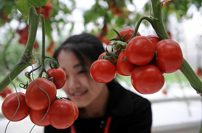 Источник: m.fishki.net