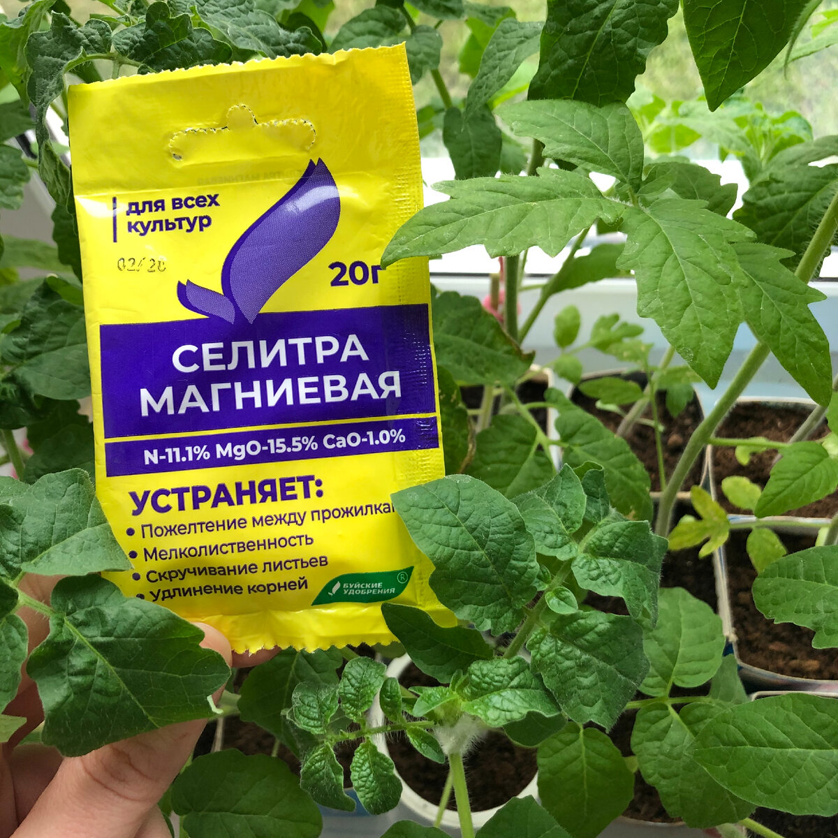 Селитра. Какая бывает и зачем нужна. | Буйские Удобрения | Дзен