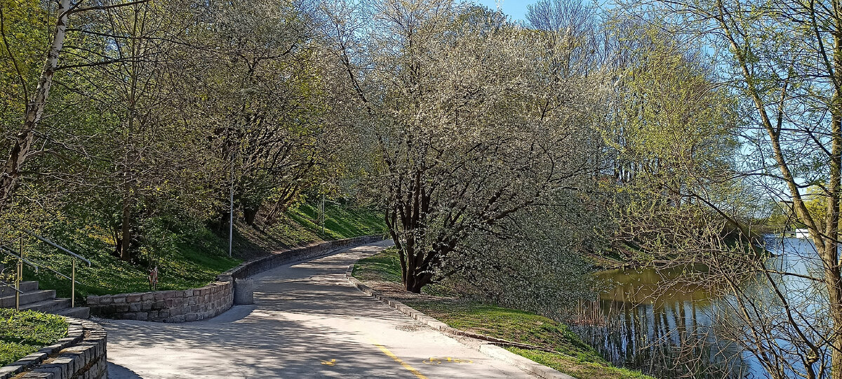 Дорожки и цветущие деревья на Нижнем Озере