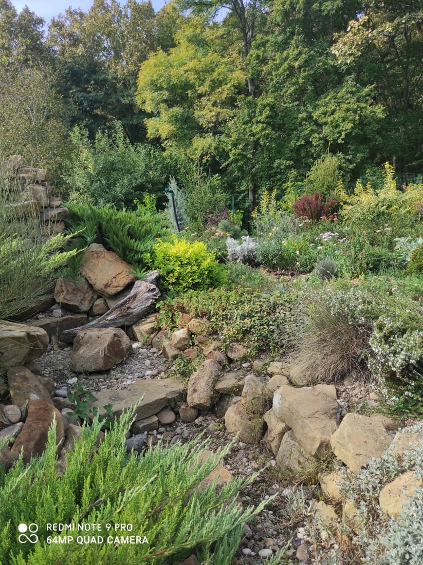 Русло сухого ручья