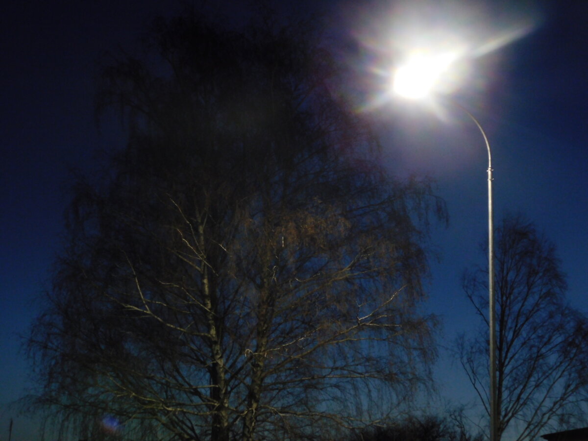 Фото автора канала