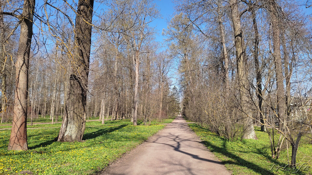 Весенняя прогулка