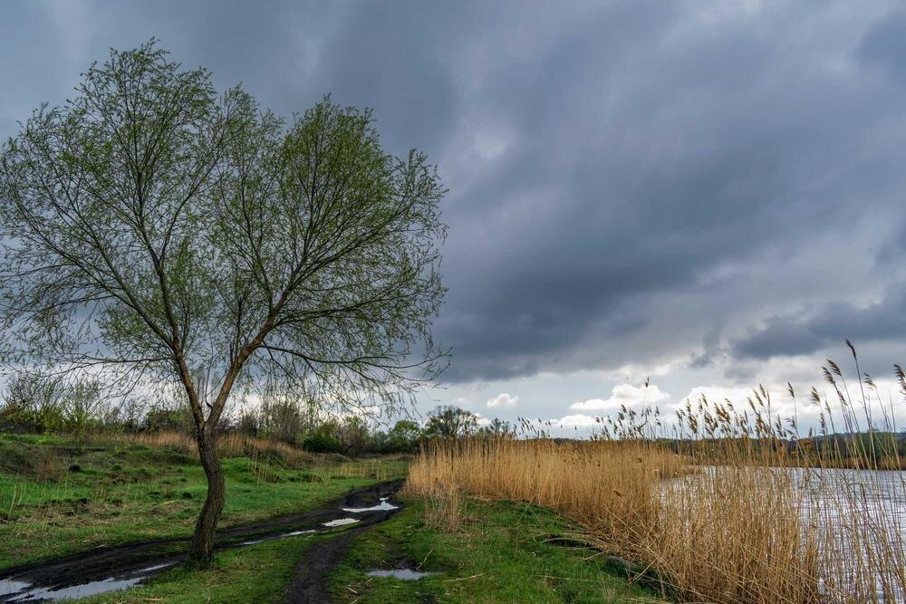 Фото — stihi.ru