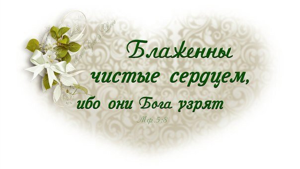 Источник изображения: ВКонтакте