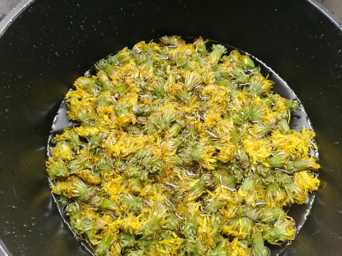 как приготовить одуванчики. отвар одуванчика. как приготовить одуванчики. лечебные отвары из одуванчиков. картинка варенье из одуванчиков.