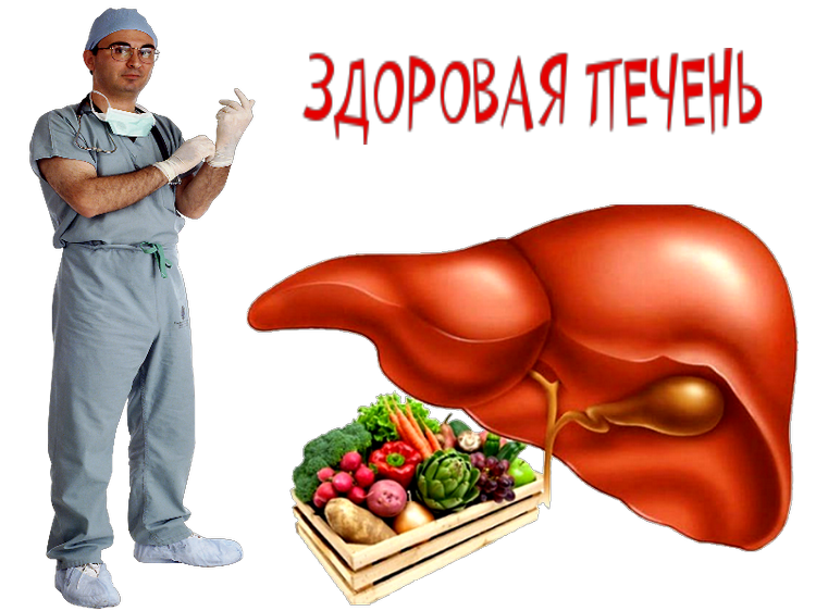 Картинки про печень