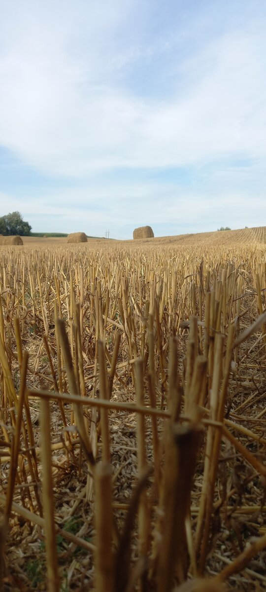 Смолевичский район, Минская область