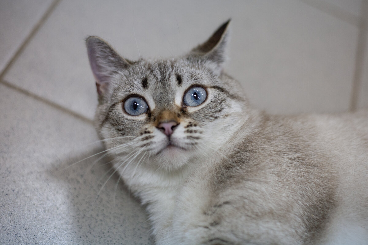 Это опять Жасмин)