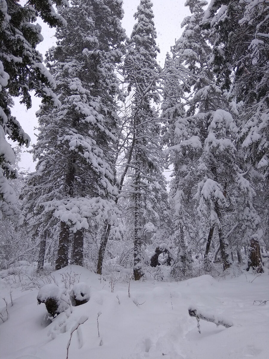 Тоже недалеко от неё 