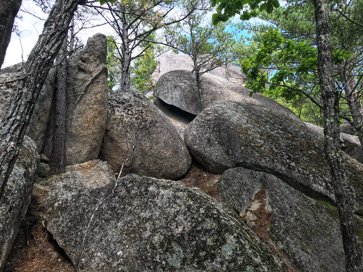 Инопланетяне, динозавры или выветривание?