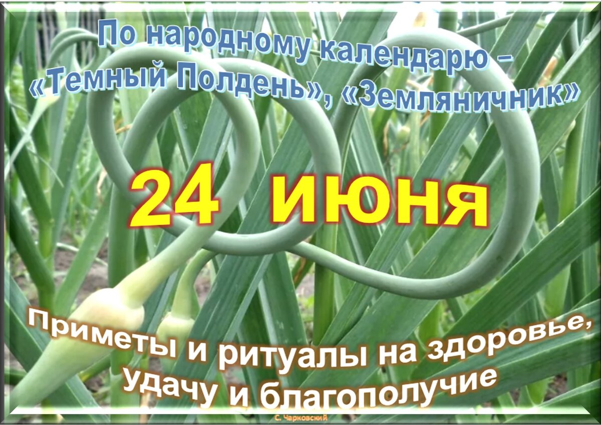 Встречаем новый день