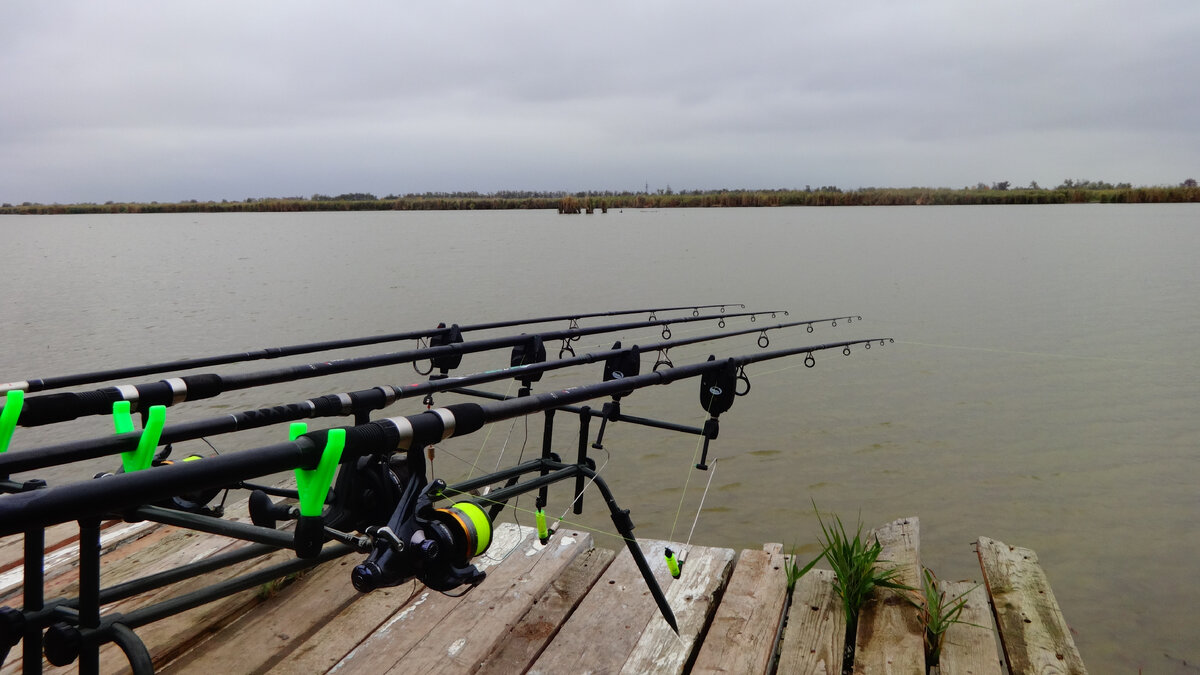 Фото автора.