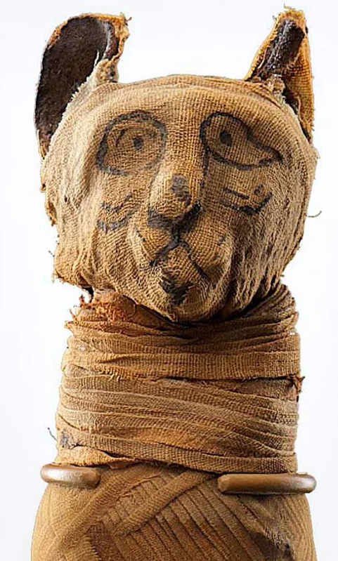 Древние египтяне мумифицировали домашних животных в качестве подношений, включений в погребения и в религиозных целях. Эта кошачья мумия относится к раннему римскому периоду.