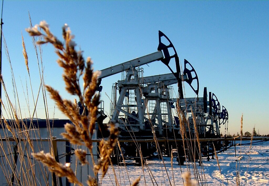 Источник фото: Яндекс.картинки