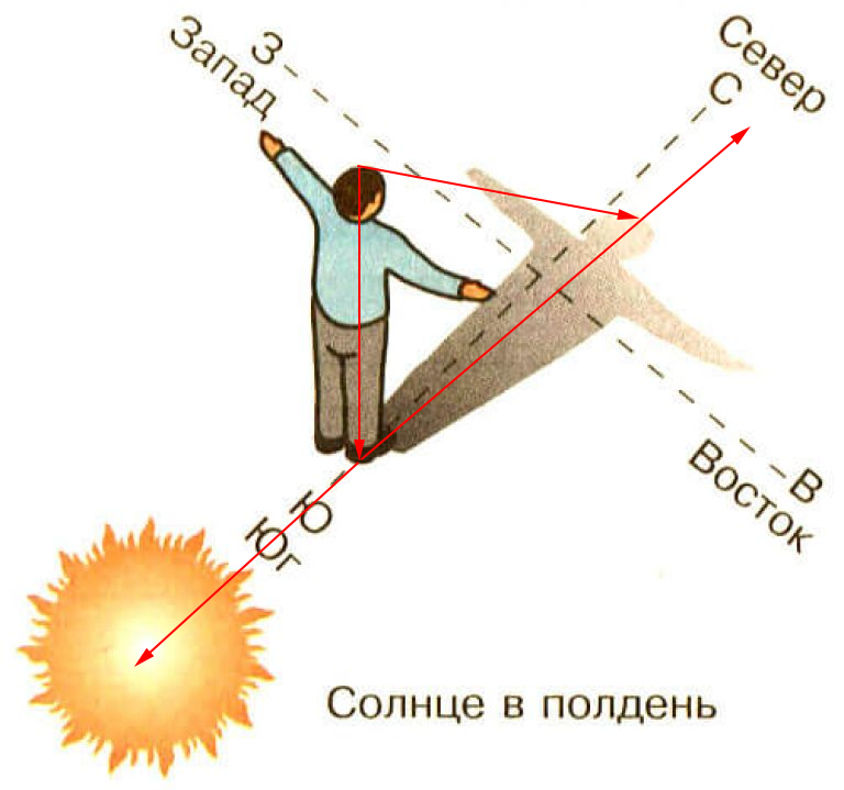 В первую очередь ориентируются. Ориентирование на местности по солнцу. Как определить стороны света по солнцу. Как ориентироваться по солнцу картинки. Как ориентироваться по солнцу в полдень.