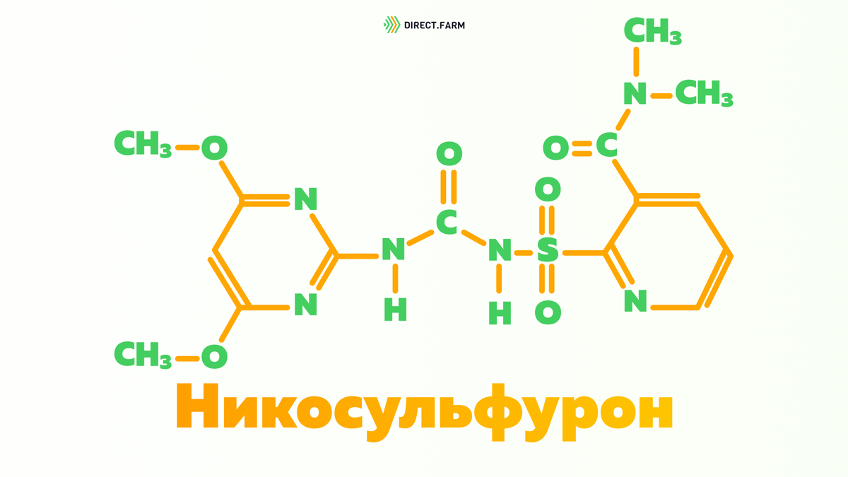 Директ формулы. Никосульфурон. Никосульфурон препараты. Никосульфурон формула. Ацетолактатсинтаза.