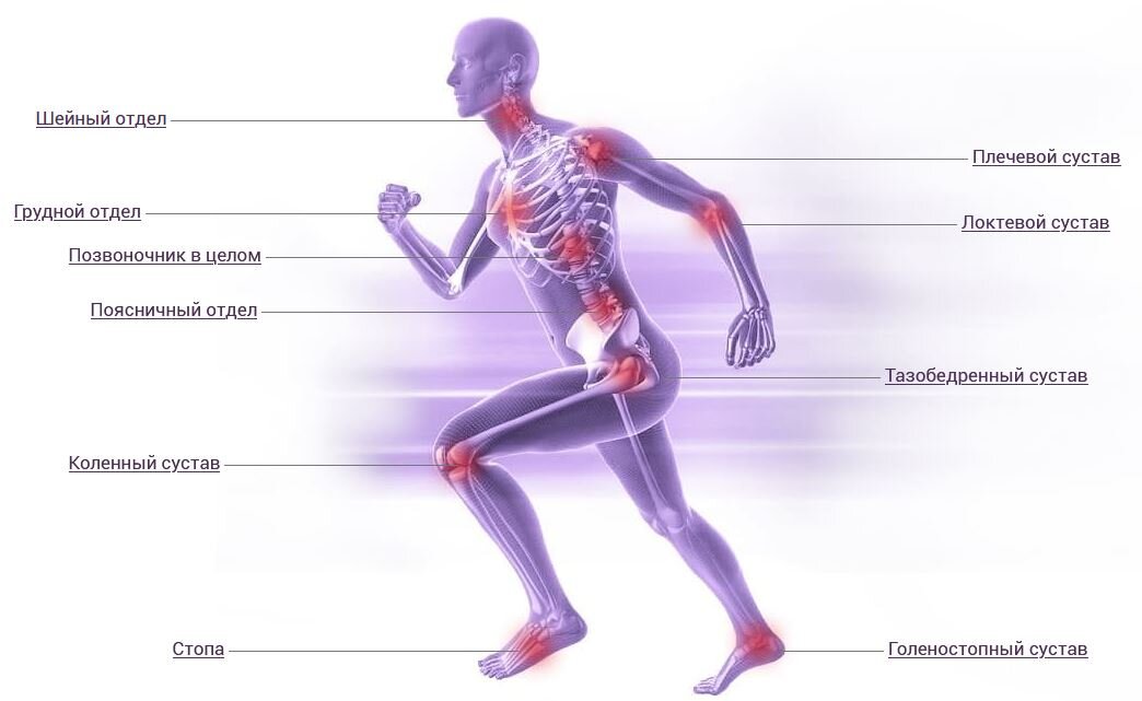Позвоночник и суставы. Фото взято с сайта https://www.bubnovsky-vip.ru