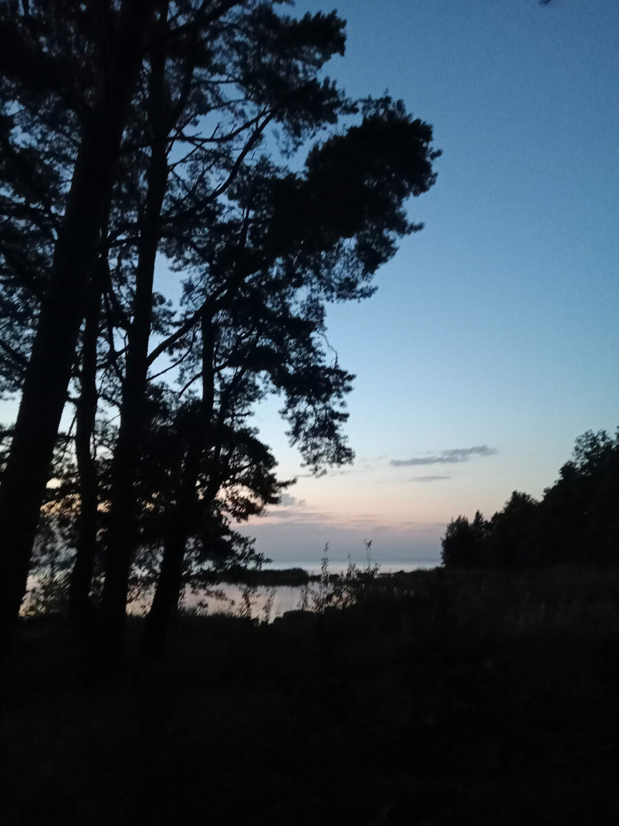 Фотография из личного архива 