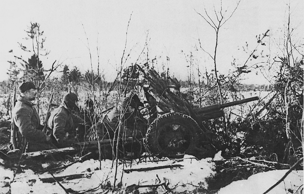 Советско финская война 1941 1944 годов фото