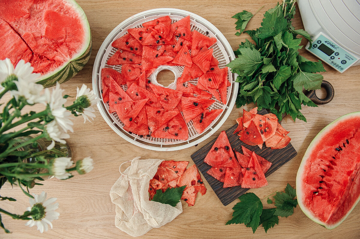 Рецепт ароматных арбузных чипсов 🍉 | Сушилки для фруктов Ezidri и Волтера  | ЭкоСнеки | Дзен