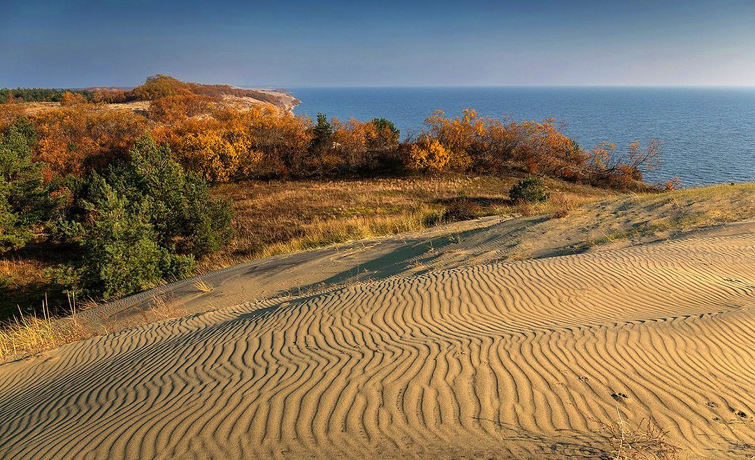 Источник фото:https://vsegda-pomnim.com/morja-i-okeany/29055-djuny-more-62-foto.html
Дюны в Балтийске–уникальная форма рельефа, образованная ветром. Их высота может достигать 40 метров. 