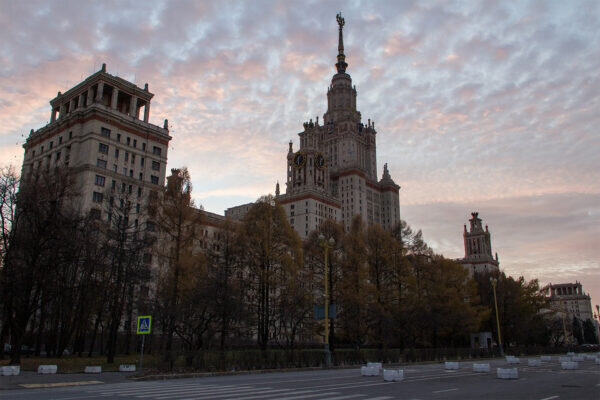    Фото: pixabay