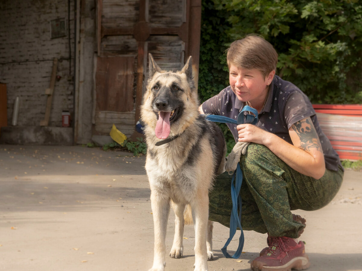 Теперь в ее жизни есть другая Лена. Тоже добрый и отзывчивый человек. С первых минут появления Весты в приюте они подружились. И теперь, Лена не может пройти мимо общительной Весты, не обратив на нее внимания, не сказав доброе слово. И конечно прогулки, Веста всегда зовет Лену прогуляться с ней по лесным дорожкам.