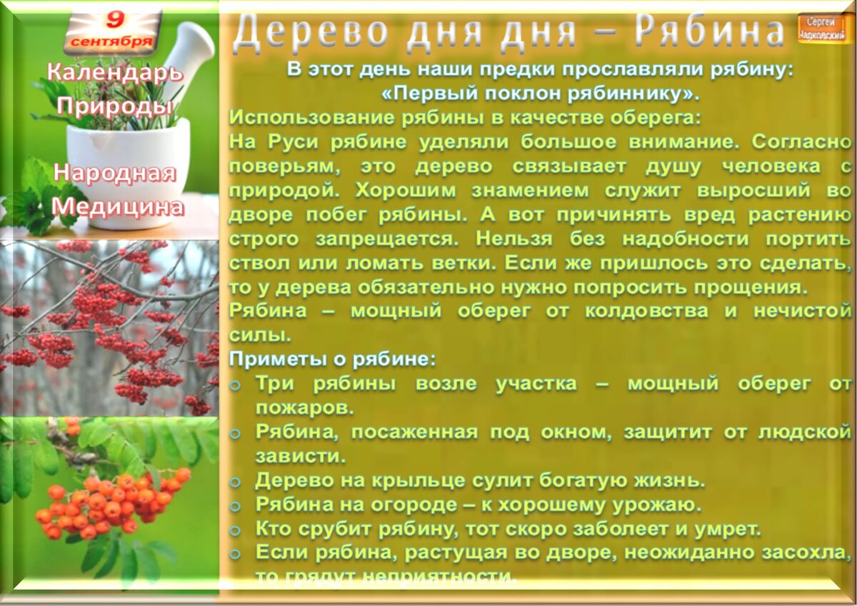 9 сентября значение. Всемирный день красоты 9 сентября. Два пимена 9 сентября народный календарь. 9 сентября православный календарь. День пимена 9 сентября.