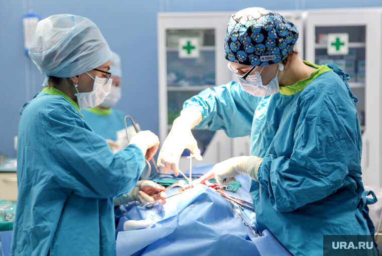    Аппендицит — это тренировочный лагерь для лимфоцитов, считает Алексей Водовозов