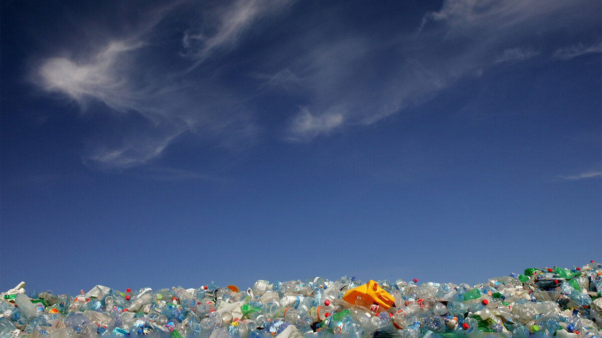    Фото David Silverman / Getty Images