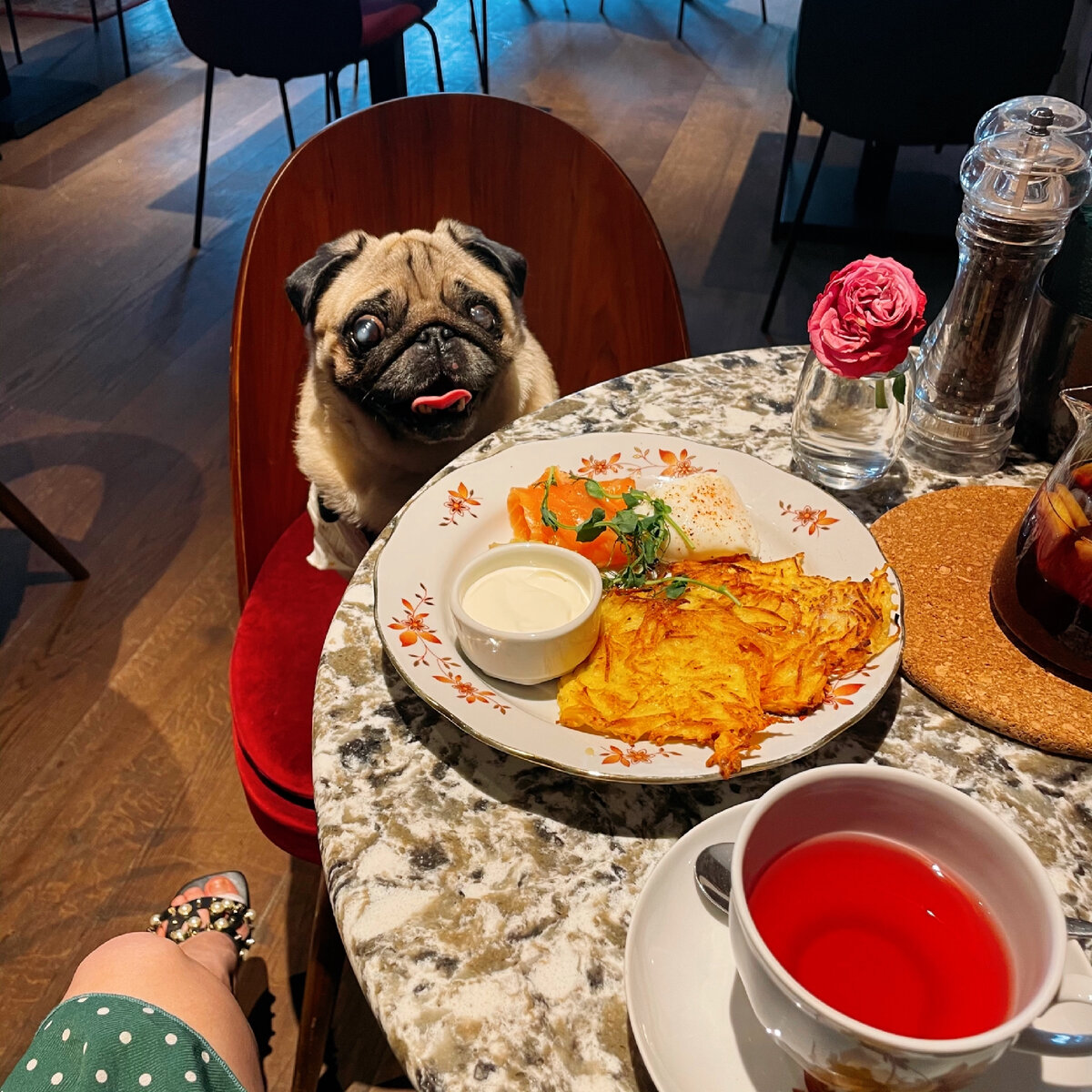 Были с Милкой в этом заведении не раз 