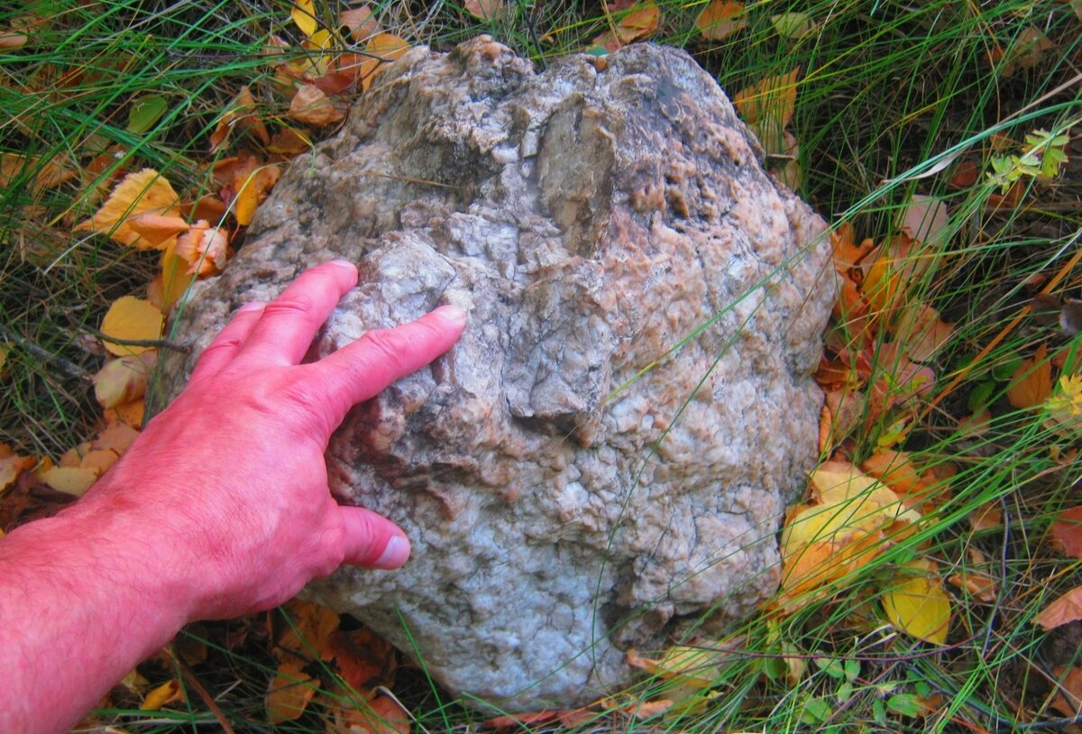 Камни на опушке леса  двух распаханных могильных курганов на Калмацкой горе