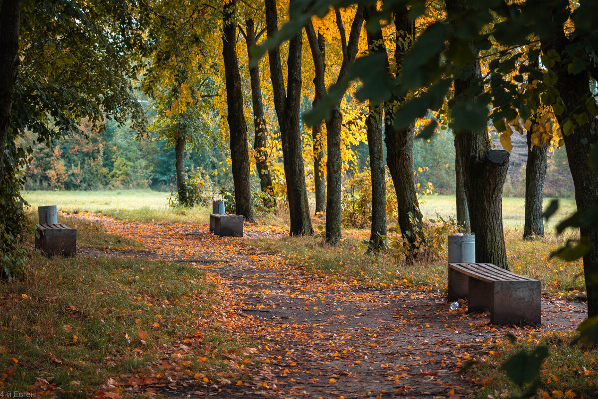 Тупиковое ответвление от основной дорожки, обычно, в хорошую погоду, все лавочки заняты.