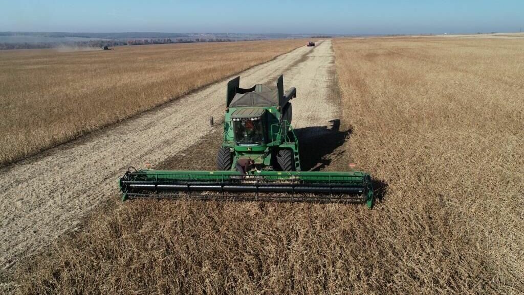     Аграрный комплекс России успешно развивается, несмотря на последствия пандемии и беспрецедентный объём введённых против страны санкций. РФ не только обеспечивает свою продовольственную независимость, но ещё и поставляет сельхозпродукцию за рубеж.