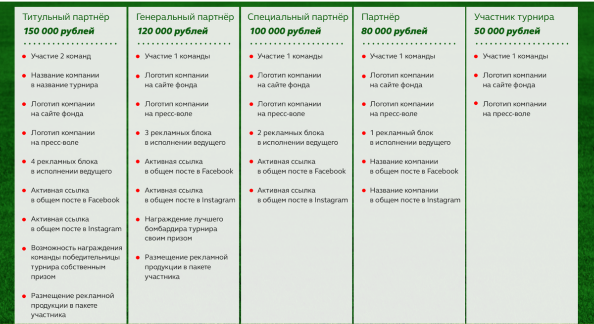 Варианты участия партнера