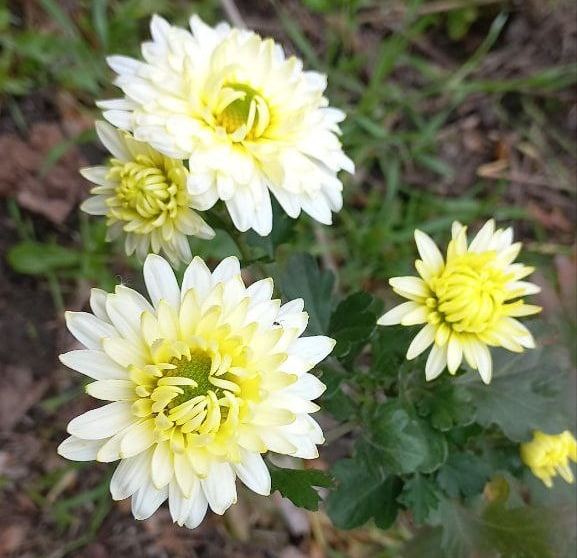 Фото из личного архива