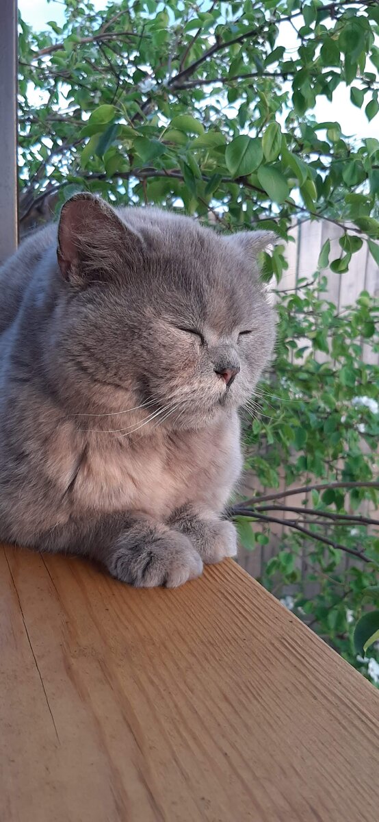 А так наслаждаемся летом!