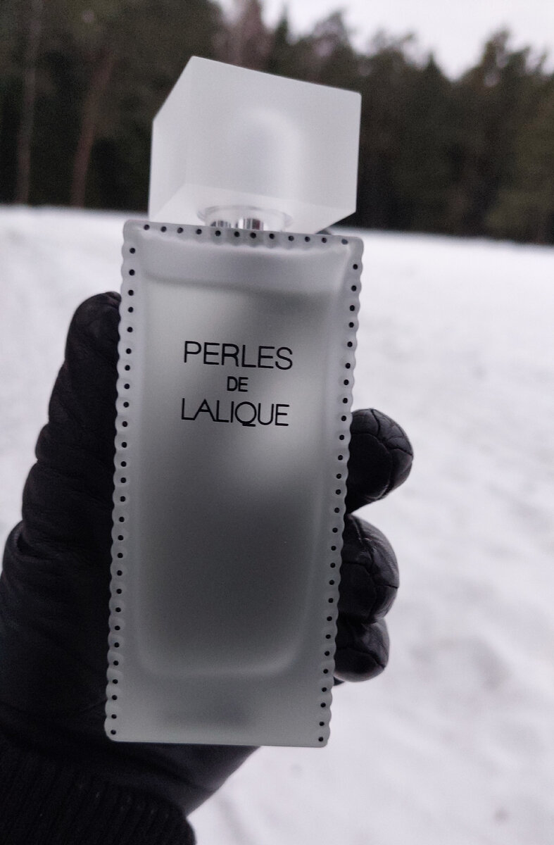 Верхняя нота: роза; средние ноты: перец, ирис, пудровые ноты; базовые ноты: пачули, дубовый мох, ветивер, корень ириса, кашемировое дерево