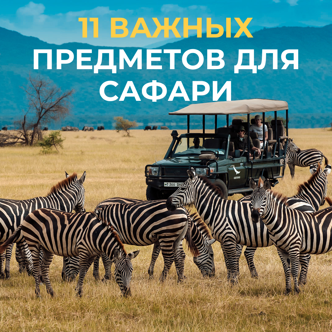 Сафари с EAT.LOVE.DISCOVER