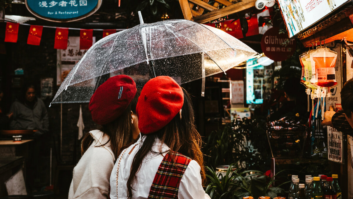 Photo by Max van den Oetelaar on Unsplash