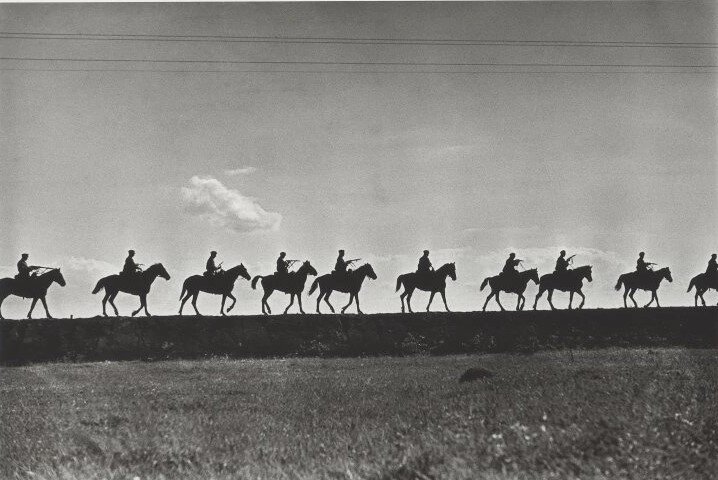 Шаг — король аллюров