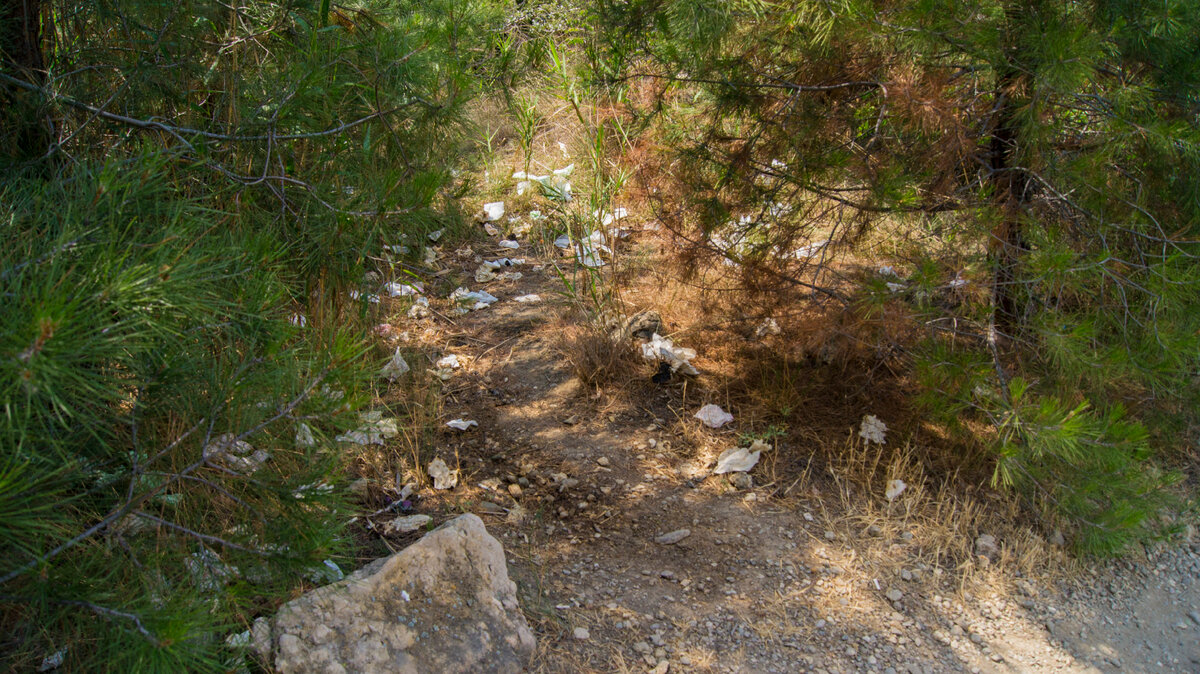 Крым кемпинг Инжир 