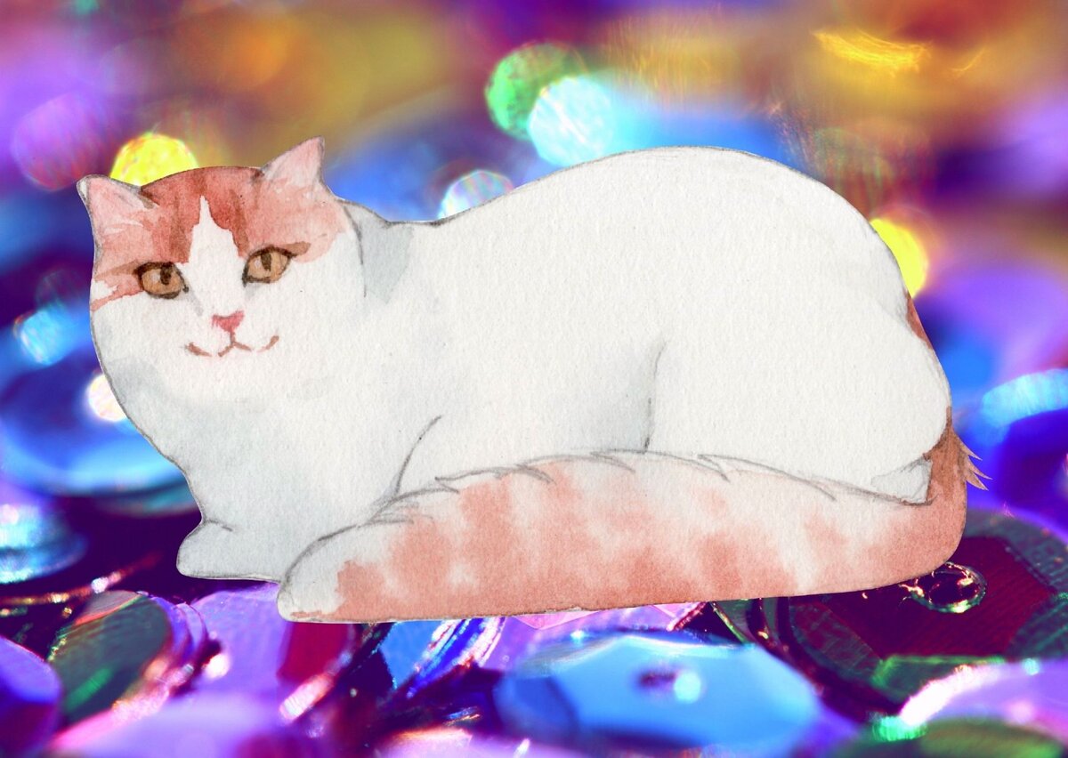 Ну, вот я - турецкий ван. А чего добился ты?